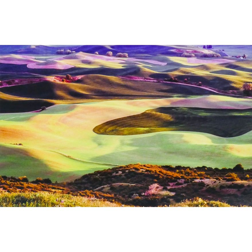 Philip Kollen ''View from Steptoe Butte'' 2010 Color Photograph