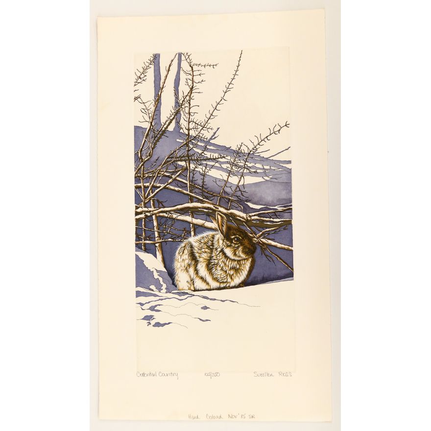 Sue Ellen Ross ''Cottontail Country'' S/N 1985 Hand Colored Etching