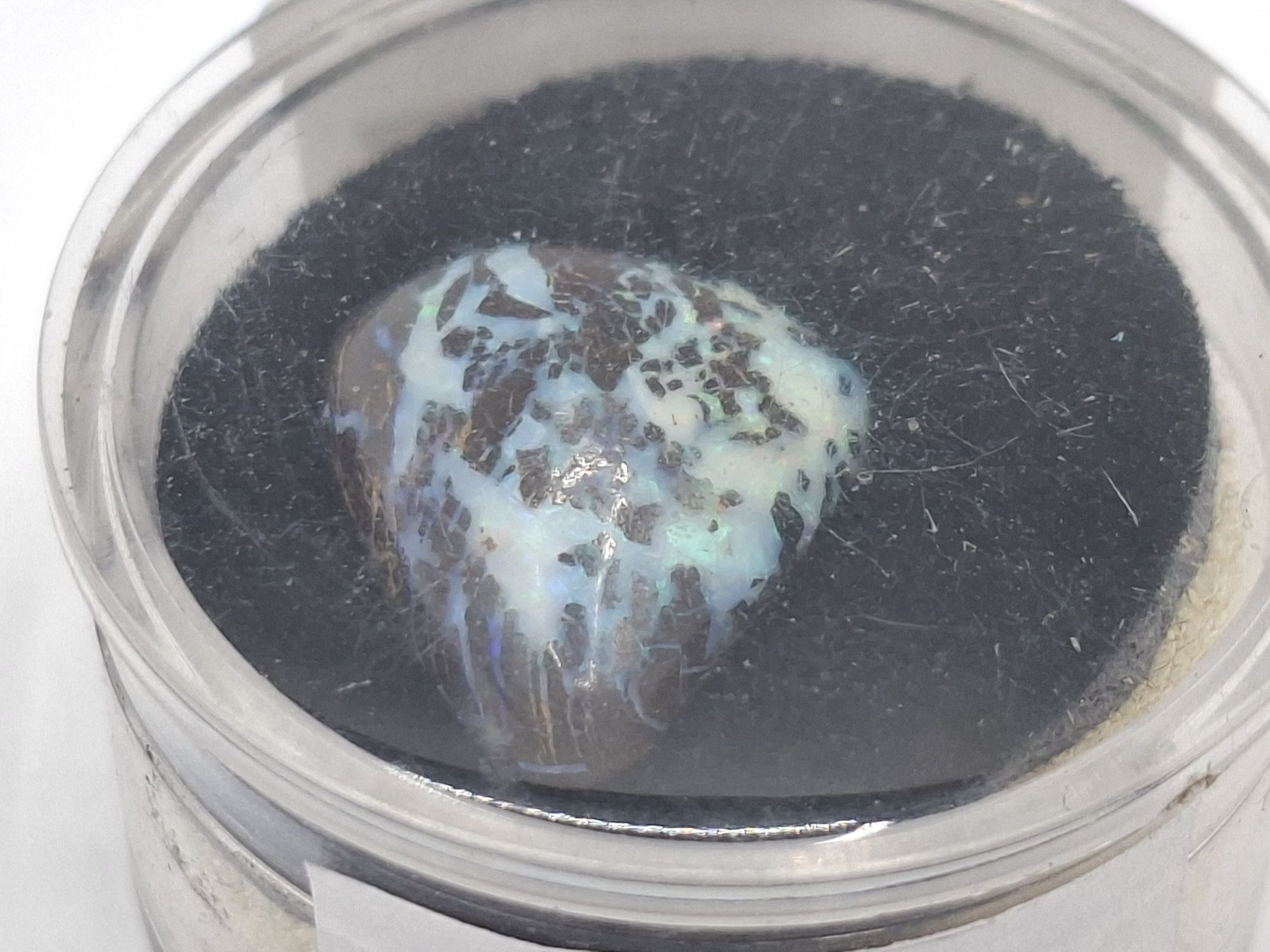 Loose Opal