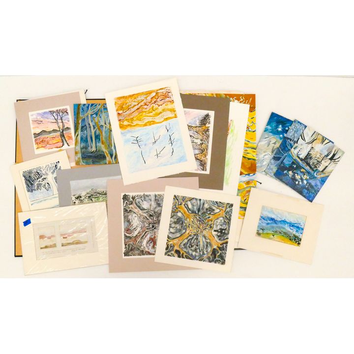 Portfolio 20pc Mirra Meyer Original Paintings and Prints 24''x30'' Largest