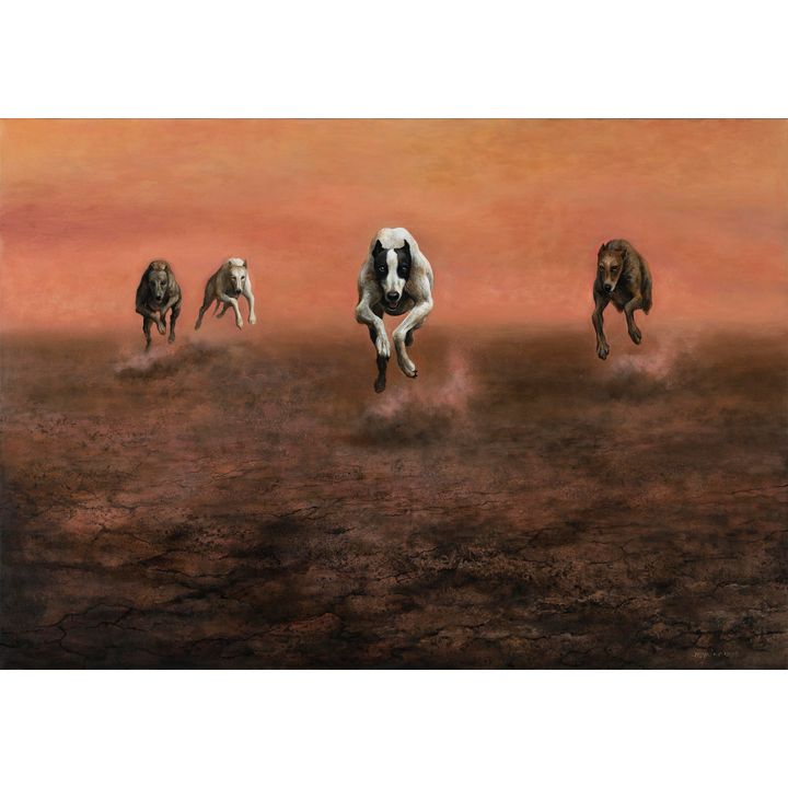 Mariola Jaśko | Wyścig, 2019