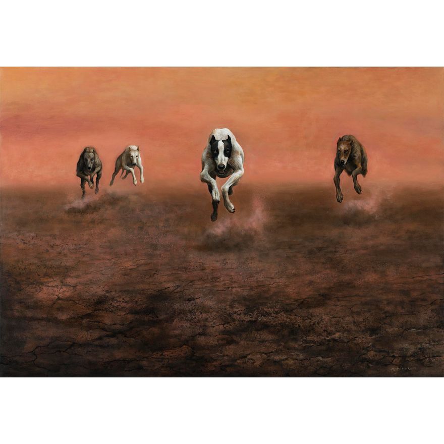 Mariola Jaśko | Wyścig, 2019