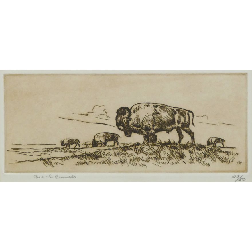 Ace Powell 'Buffalo' Etching. Edition 23/50.
