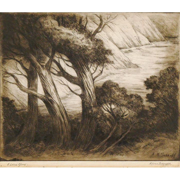 Alfred Schroff ''A Lobos Fjord'' Signed Etching 9''x9.5''