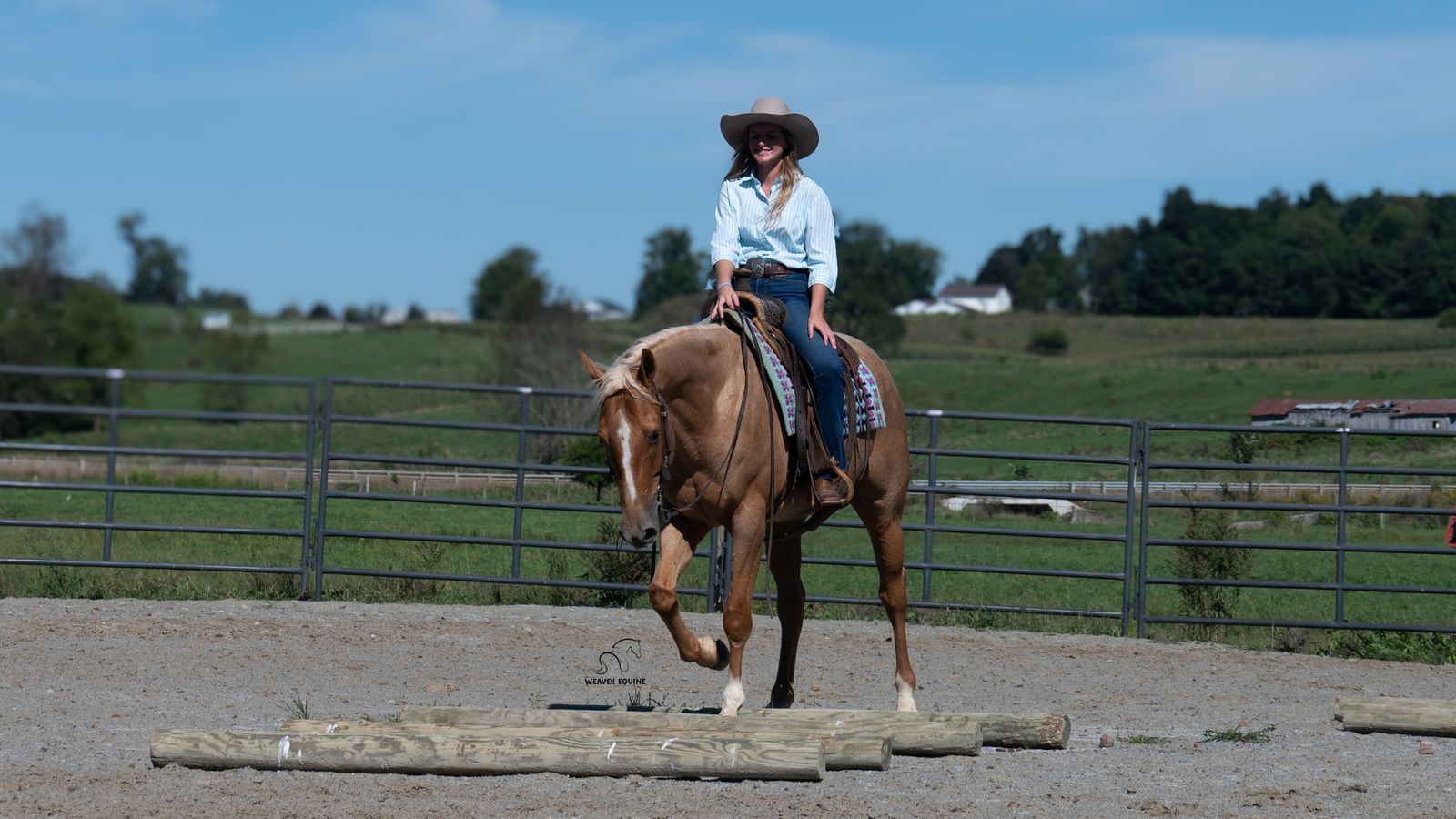 APOLLO | Horse Bid, LLC