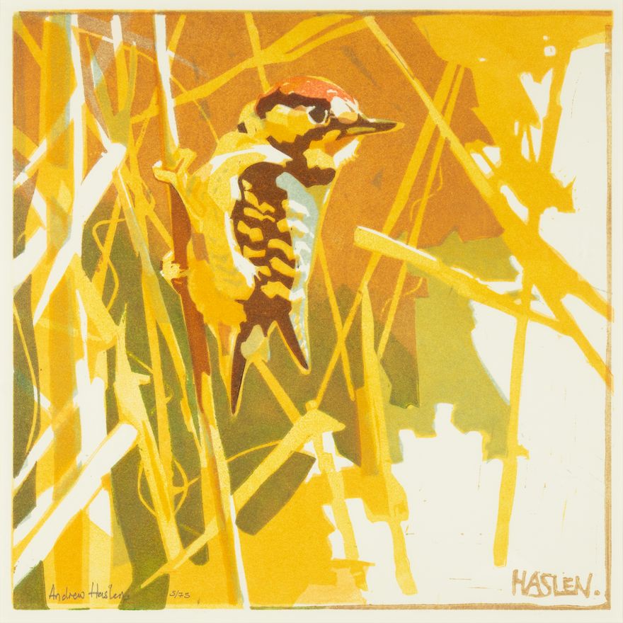 Andrew Haslen (1953- ), Lesser Spotted Woodpecker, 2018