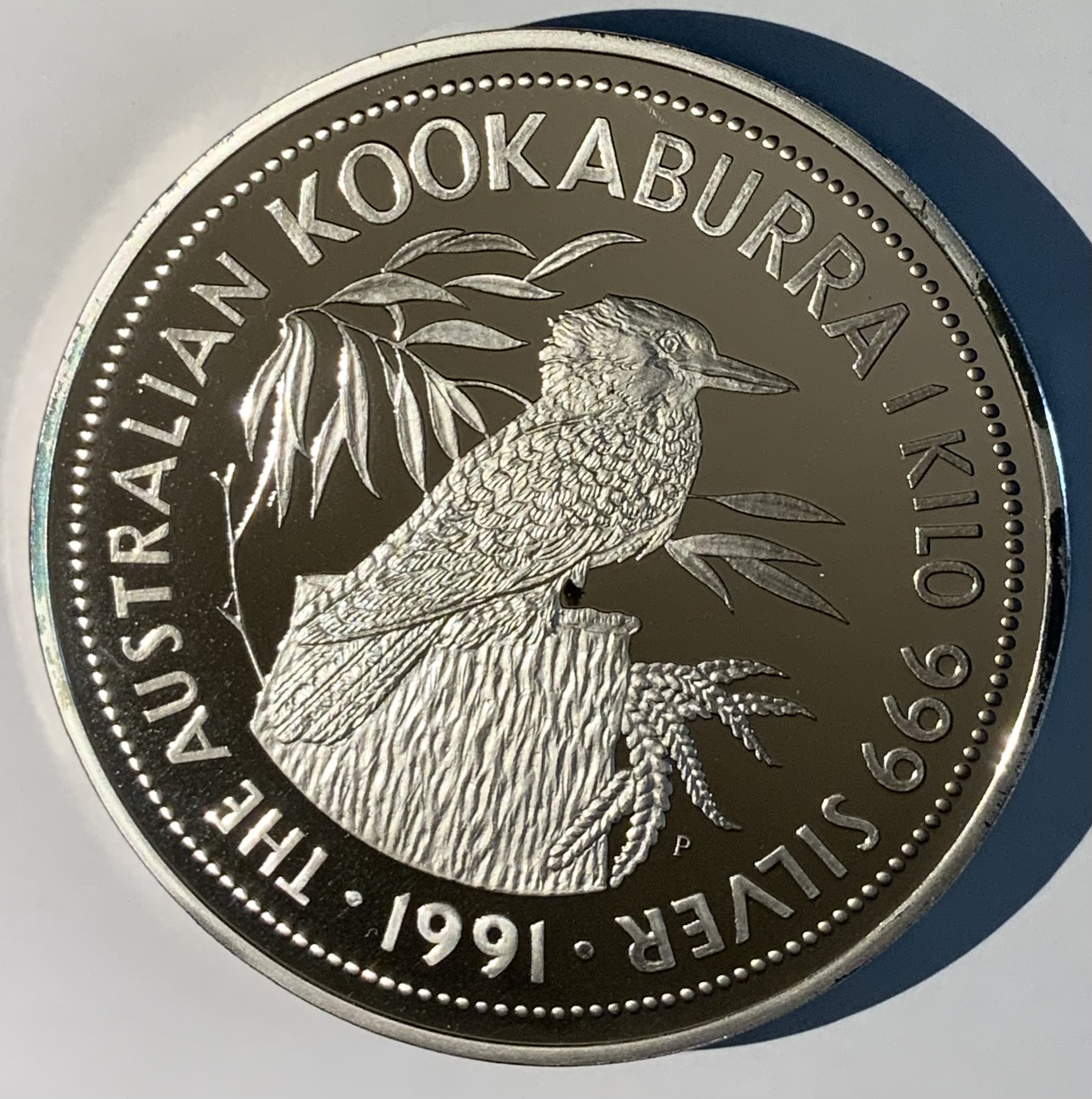 1kg 銀貨 オーストラリアカワセミ おまけ付 - 旧貨幣/金貨/銀貨/記念硬貨