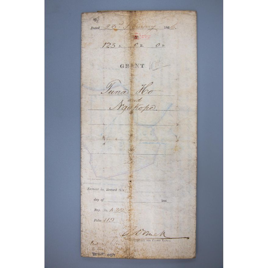 GRANT UNDER 'THE NATIVE LANDS ACT 1865'