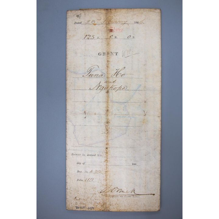 GRANT UNDER 'THE NATIVE LANDS ACT 1865'