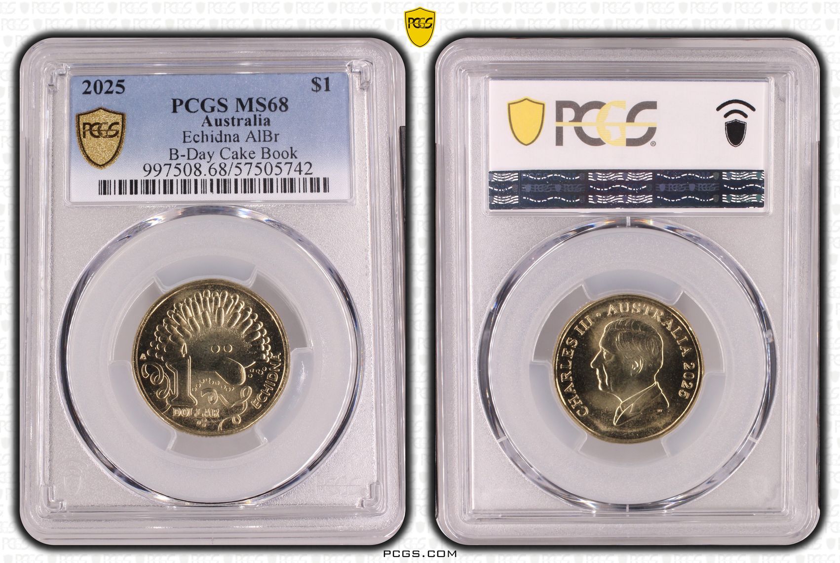 Echidna AlBr B-Day Cake Book, POP 1/0, One Dollar, 2025, PCGS MS68