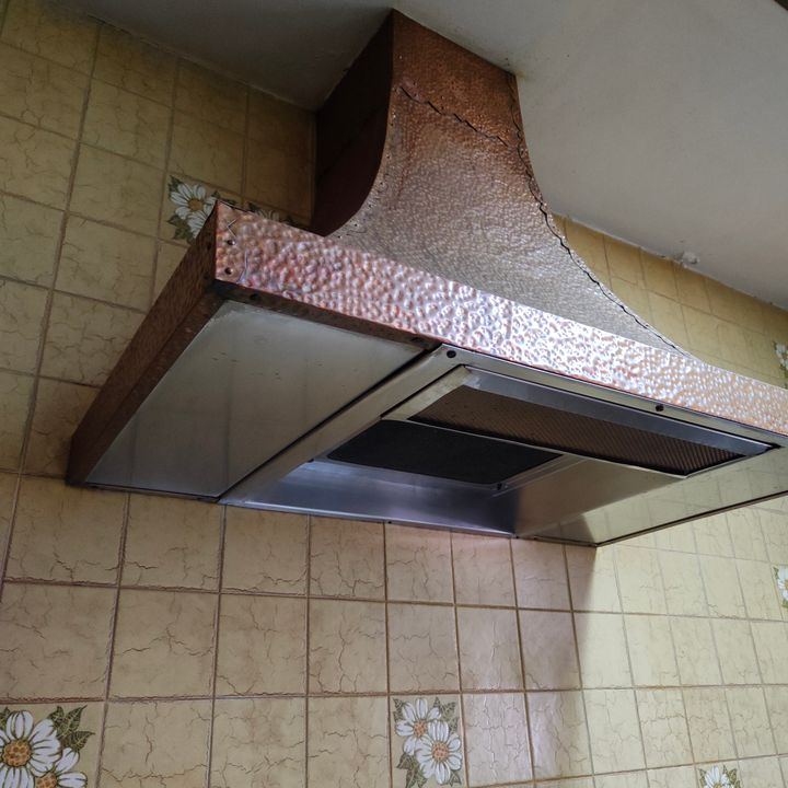 Campana con extractor