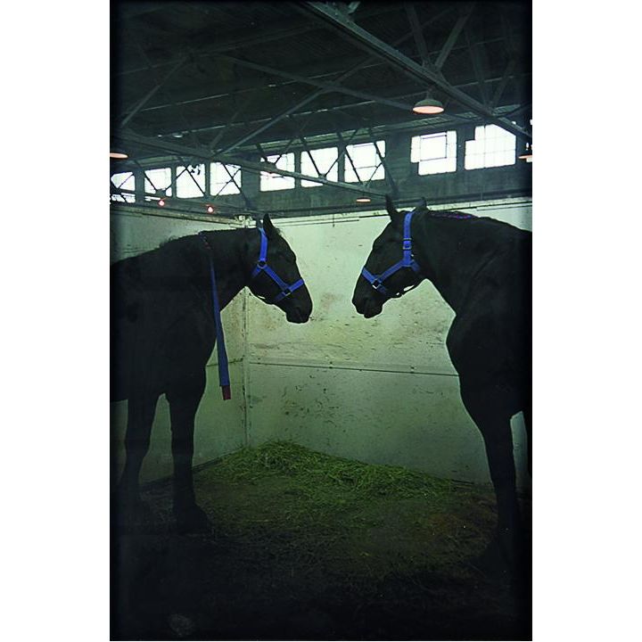 Gavin Hipkins , 'The Next Cabin, Vancouver (Stable)'