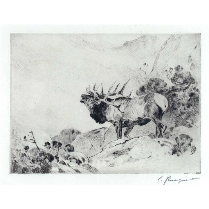 The Challenge by Carl Rungius (1869-1959)
