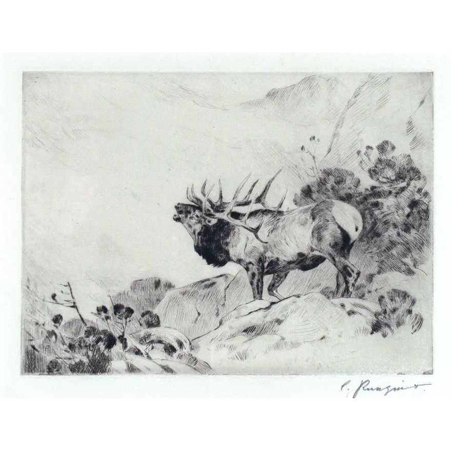 The Challenge by Carl Rungius (1869-1959)