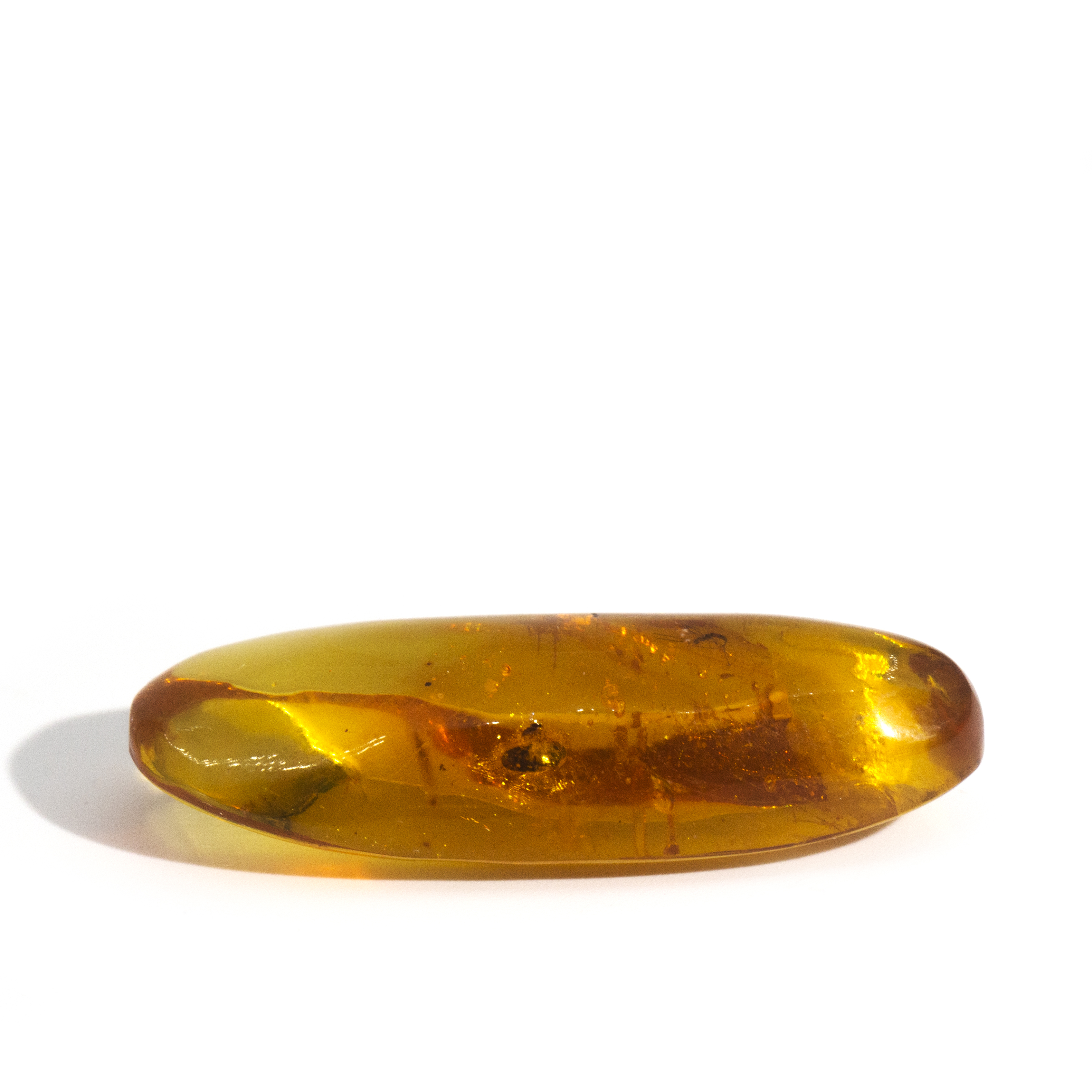 2706 · Loose Amber with Insects