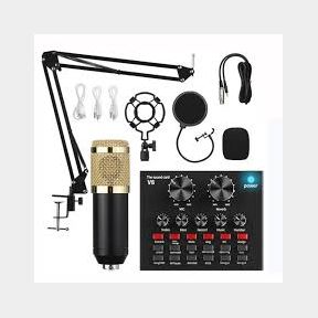 Microphone BM 800 Condenser With V8 Sound Card Kit With Shock Mount -bar 9902029427350 -51735/489 SP B1