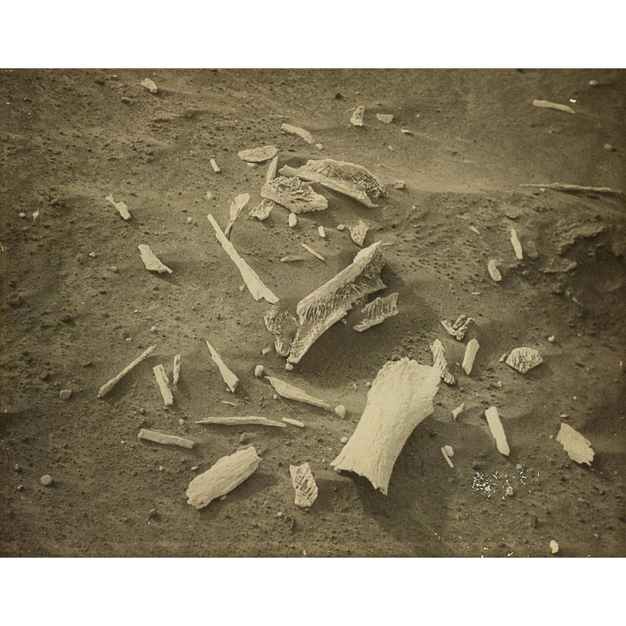 Theo Schoon 'Moa Remains Around Ovens at Black Jack Point, Waitaki River'