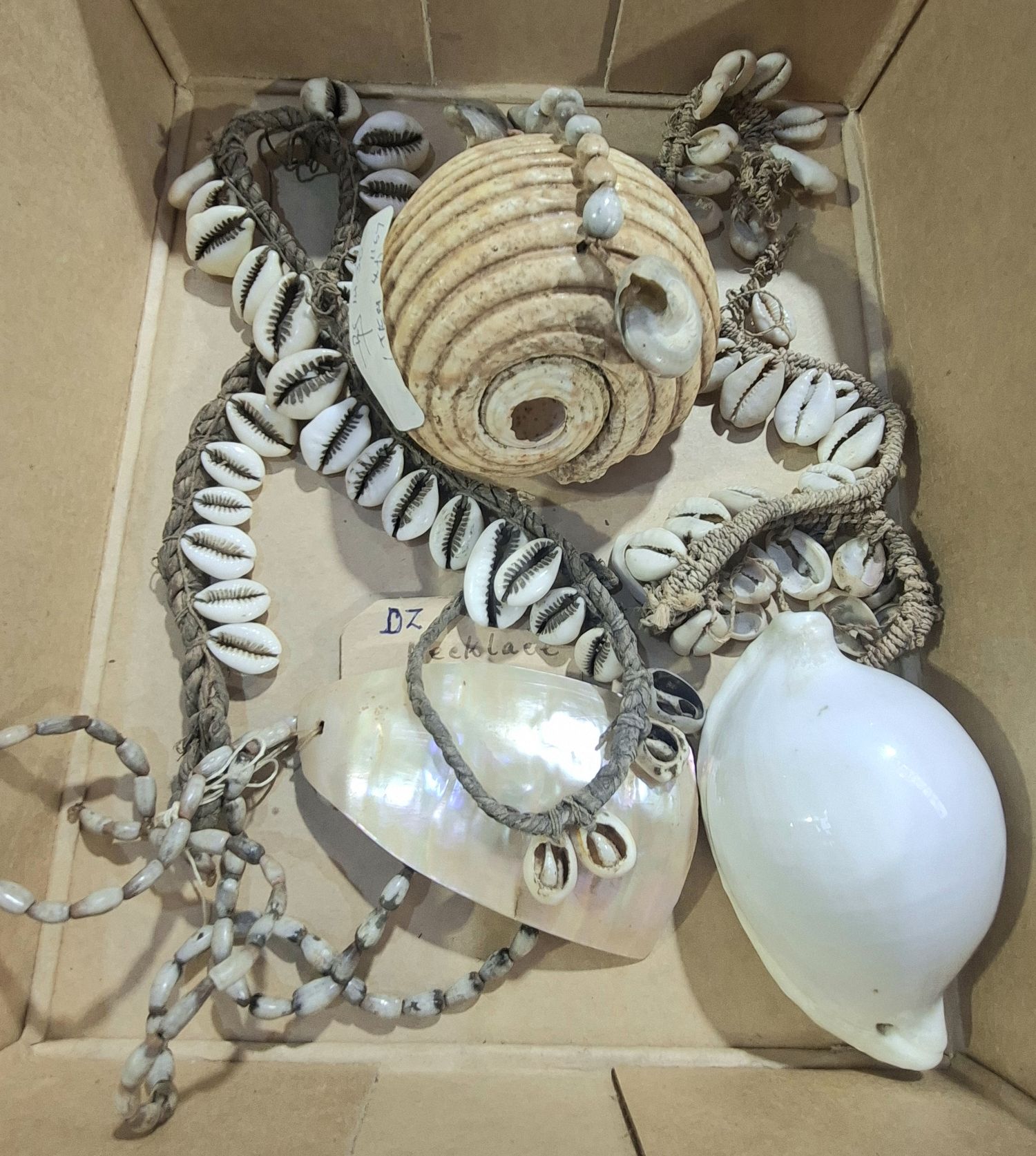 542 · P.N.G. SHELL NECKLACES