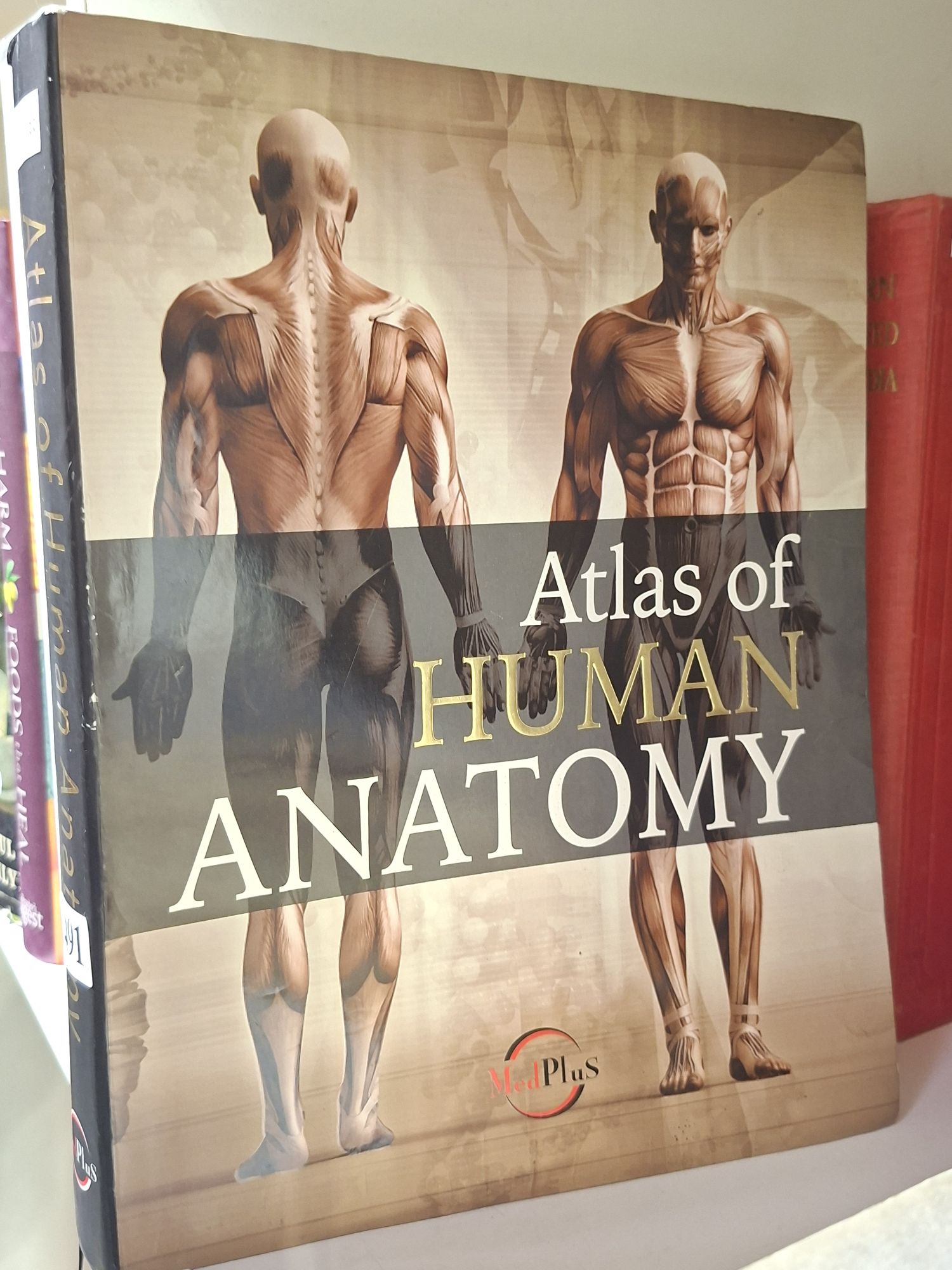 Atlas Of Human Anatomy