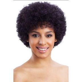 Quality 100 Virgin Human Hair Curly Wig For Women Afro 2|