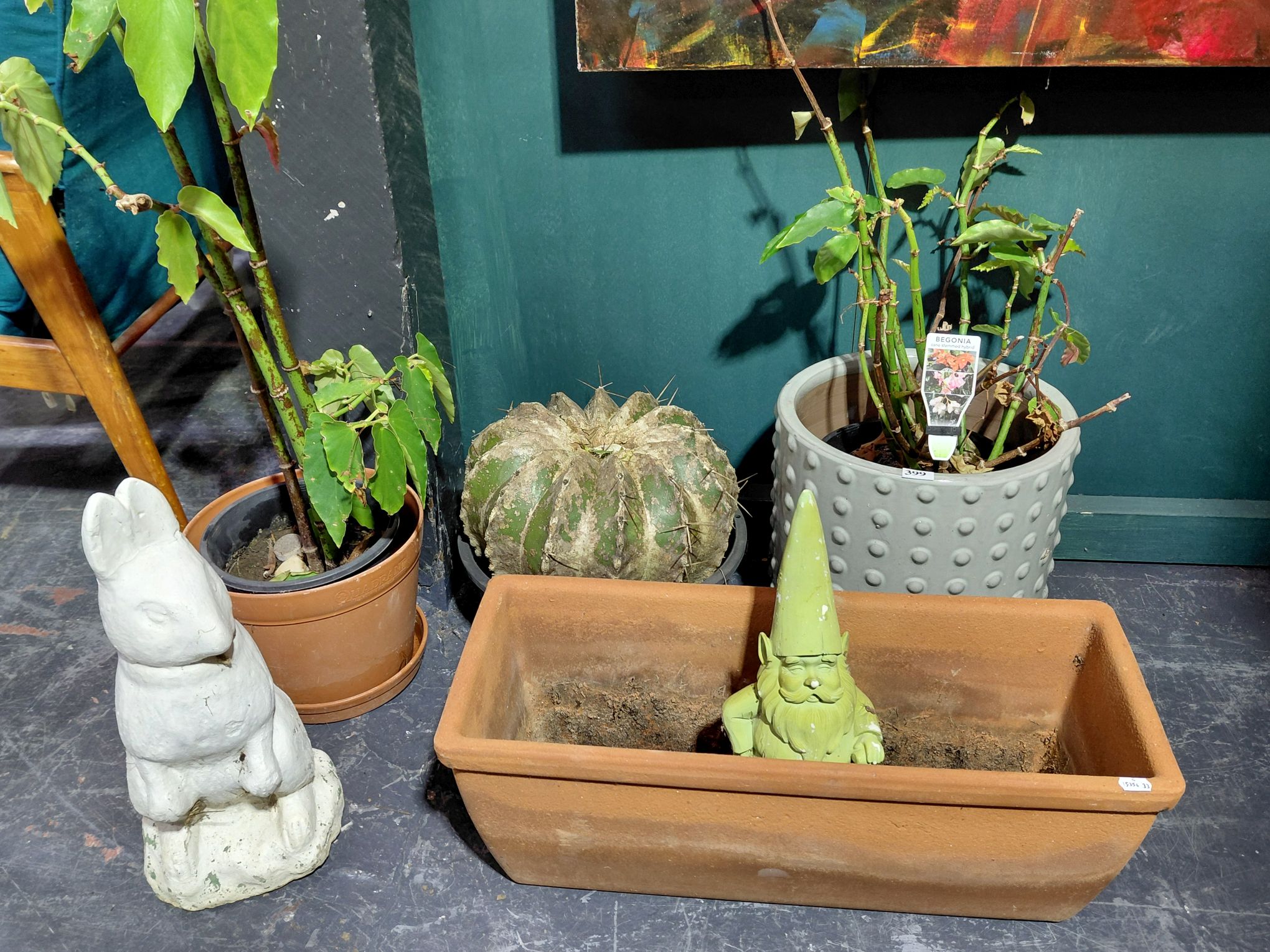 Garden Lot