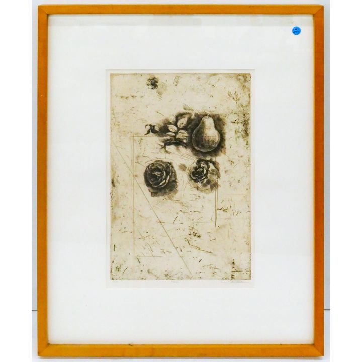 Trevor Southey ''Pear'' Etching Framed 30''X24''. S/N 28 of 50.