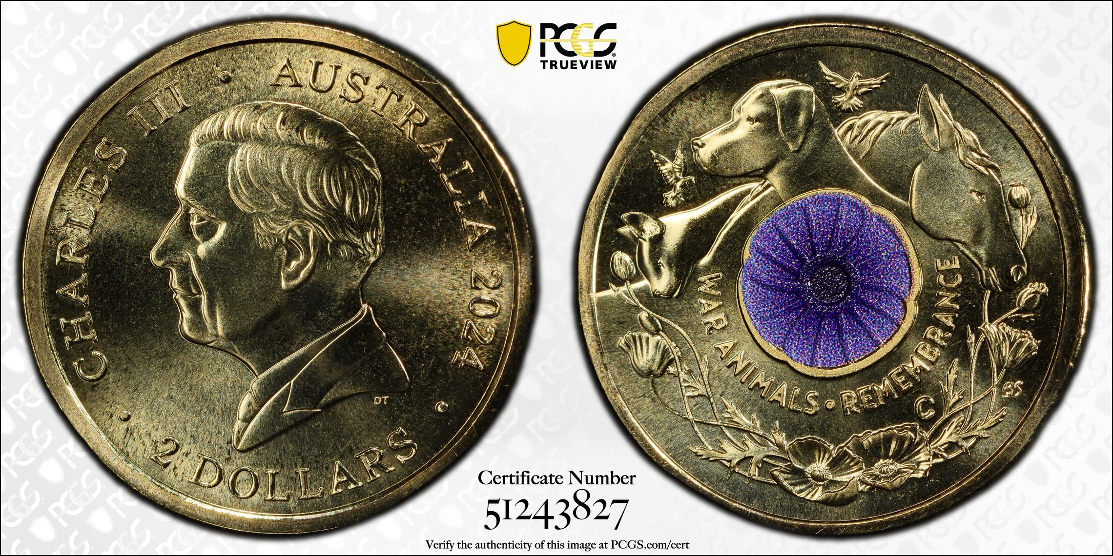War Animal Remembrance Colorized, Two Dollar, 2024-C, PCGS MS70