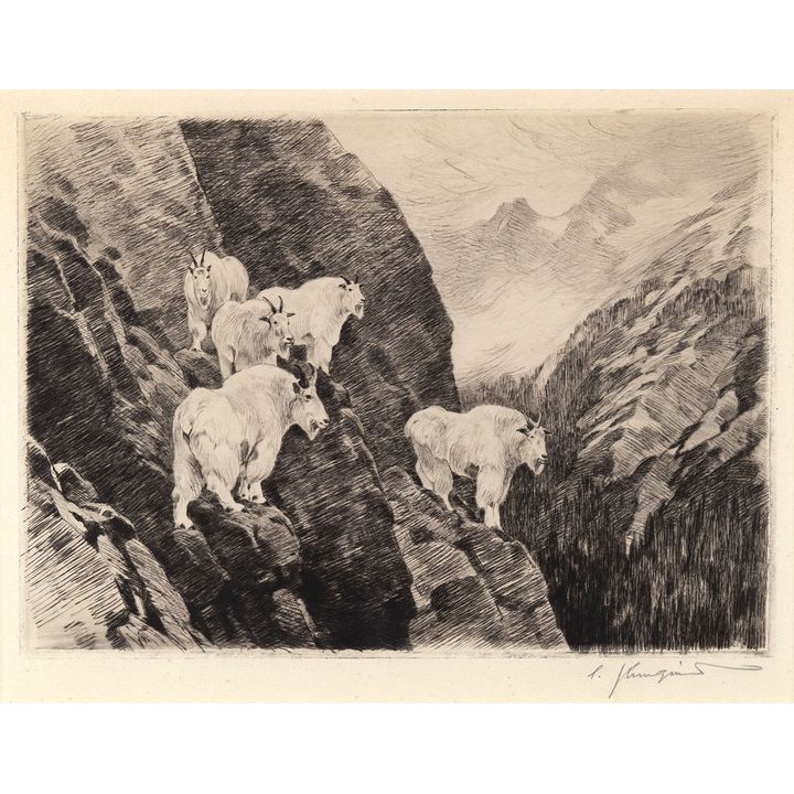 Carl Rungius (1869-1959), Goats