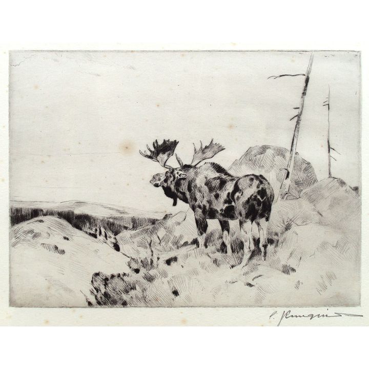 Carl Rungius (1869-1959), The Answer from the Barren