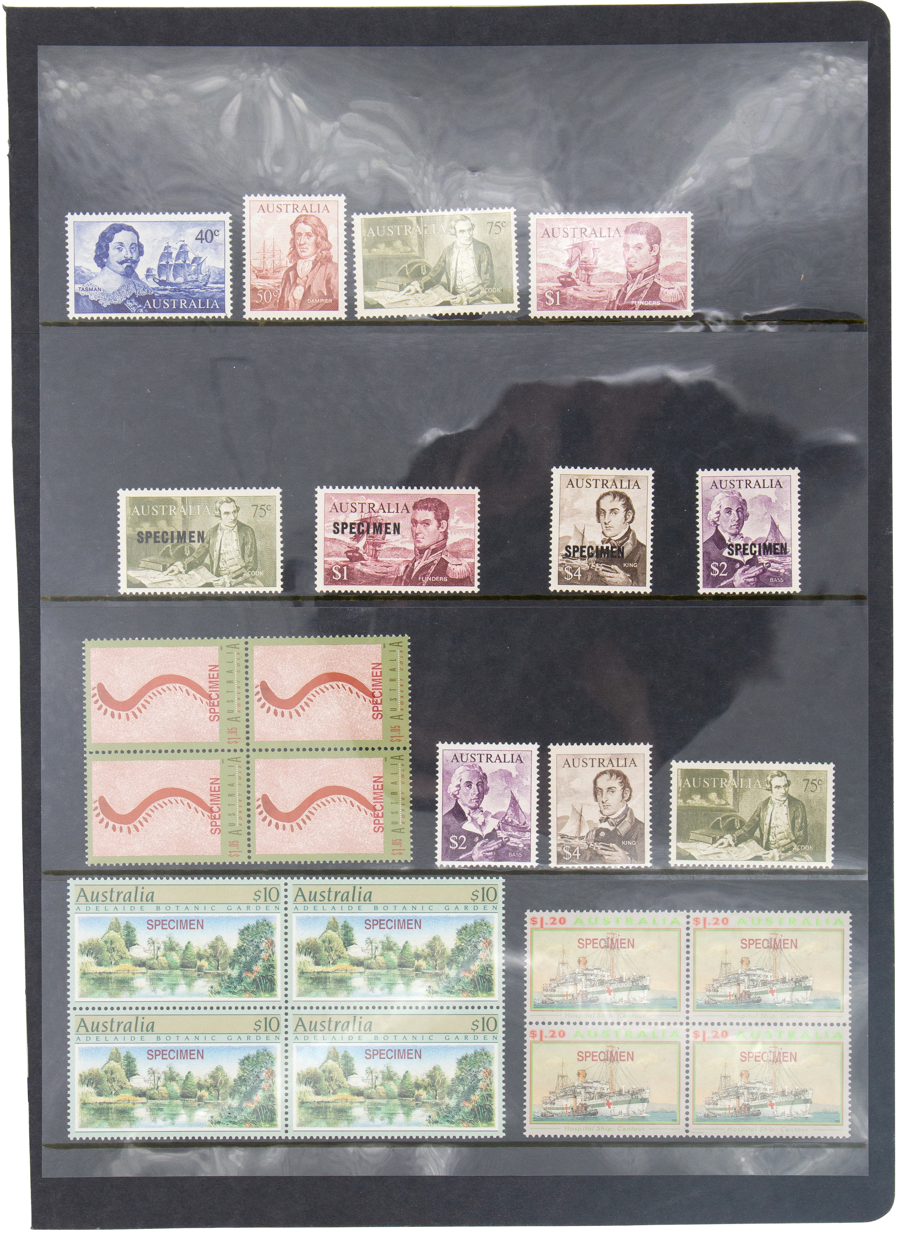 Specimen, 1966,