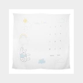Winnie The Pooh Milestone Blanket | SM 51672/26293 B4 (S7) CB