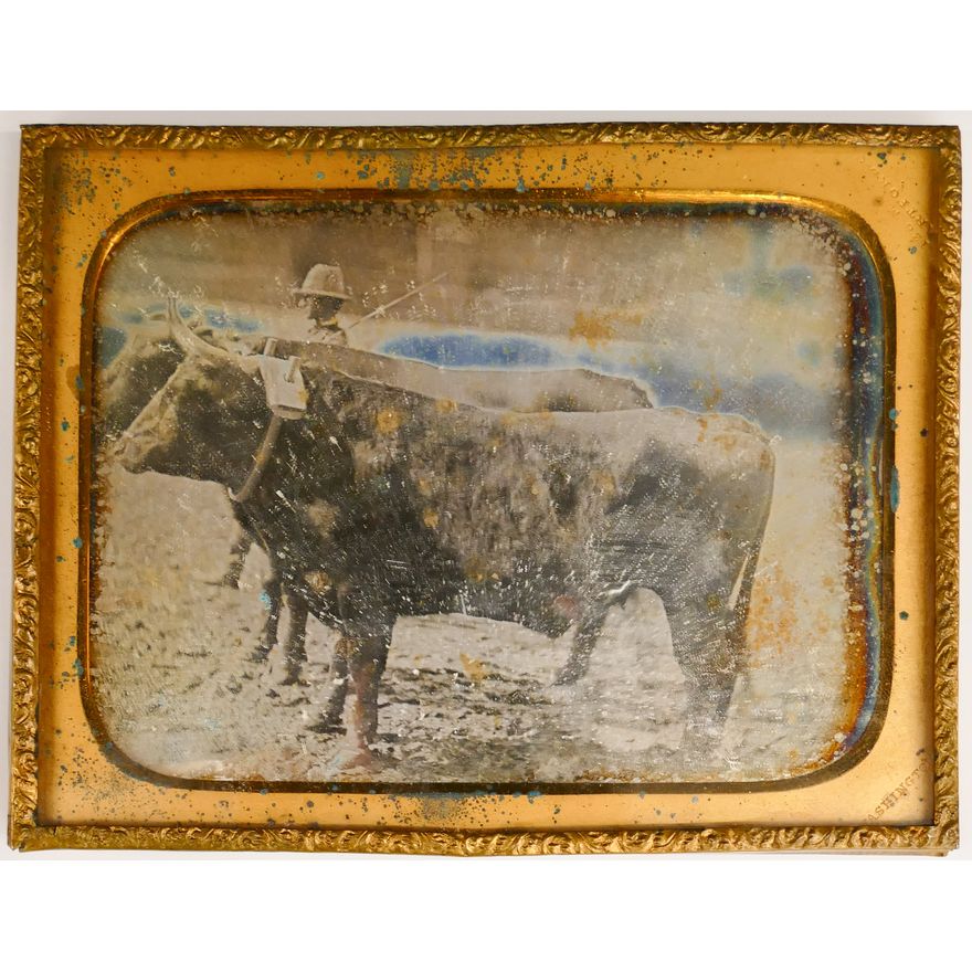 Augustus Washington (Hartford, CT) 1840's Half Plate Daguerreotype