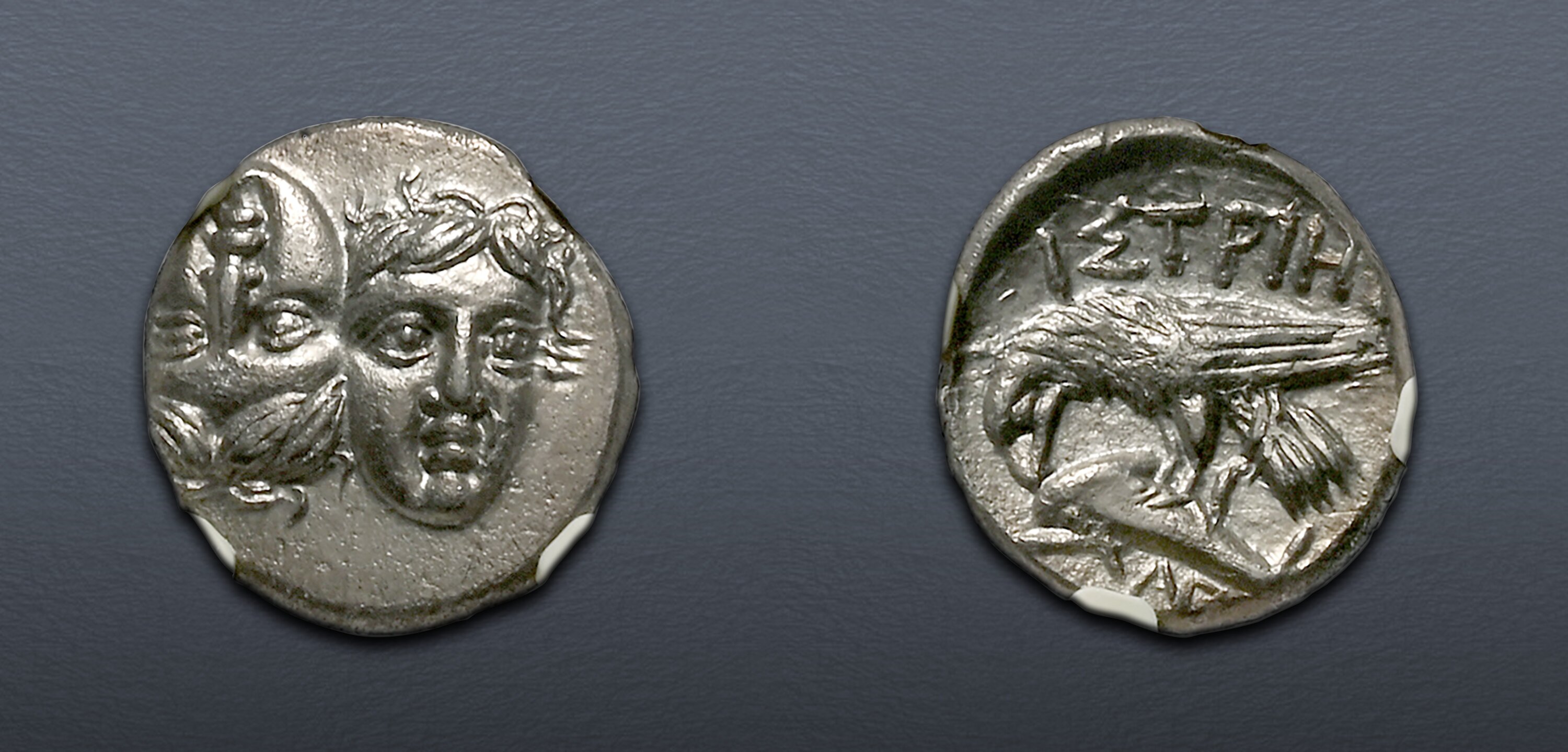 MOESIA, Istros. Circa 340/30-313 BC. AR Drachm (17mm, 5.35 g). NGC Ch ...
