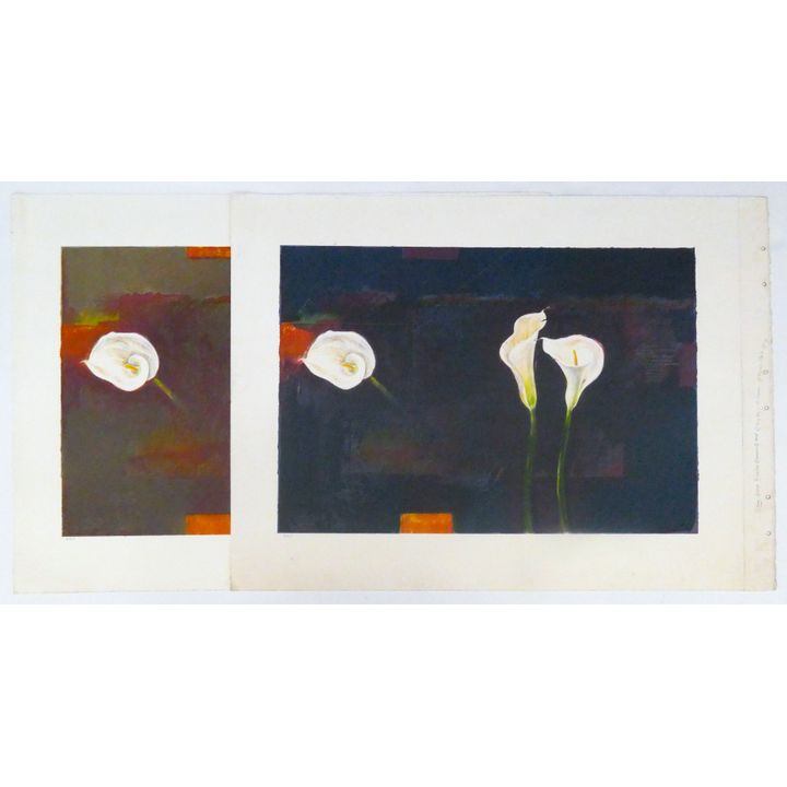 2pc Trevor Southey ''Folding'' B.A.T Test Prints.