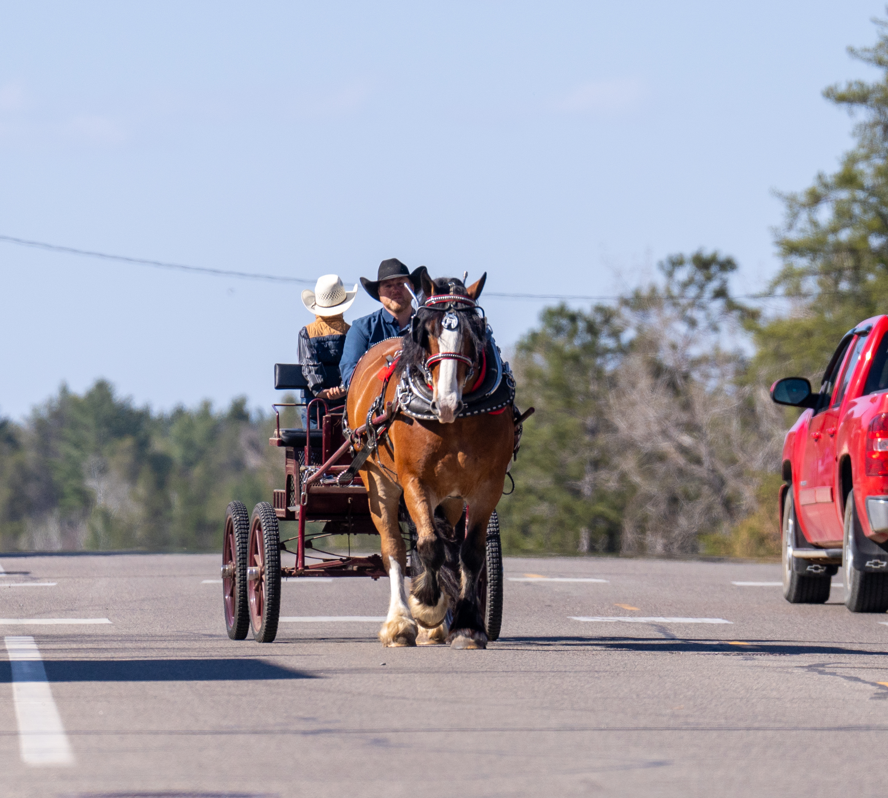 TINY | Horse Bid, LLC