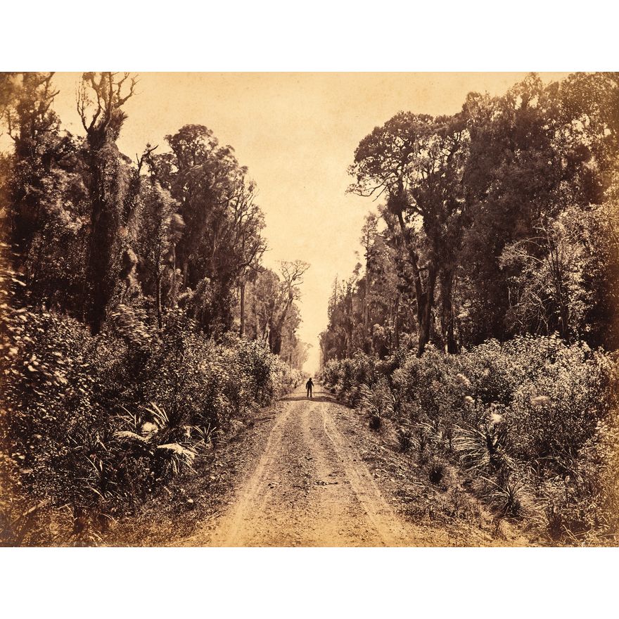 James Bragge 'Five Mile Avenue, 40 Mile Bush (between Masterton and Woodville), circa 1875'