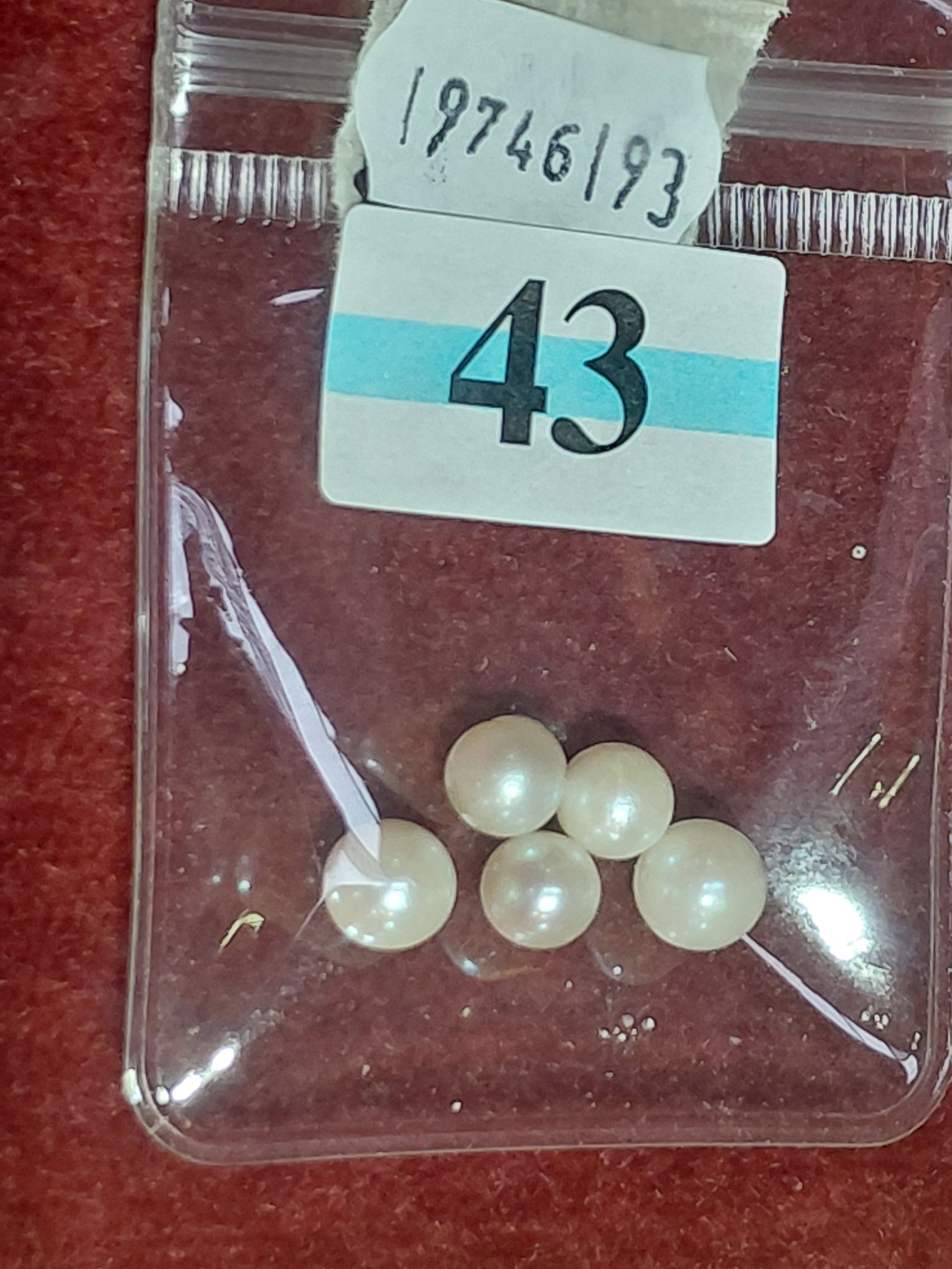Australian Salt Water Pearls