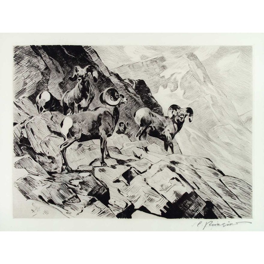 Among the Crags by Carl Rungius (1869-1959)