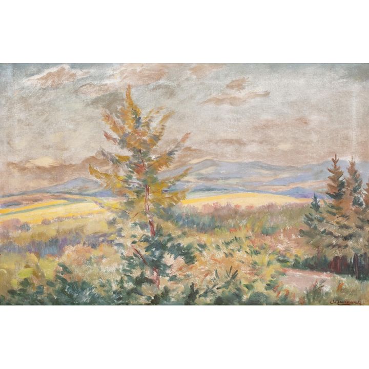 Stanisław Żurawski | Beskid