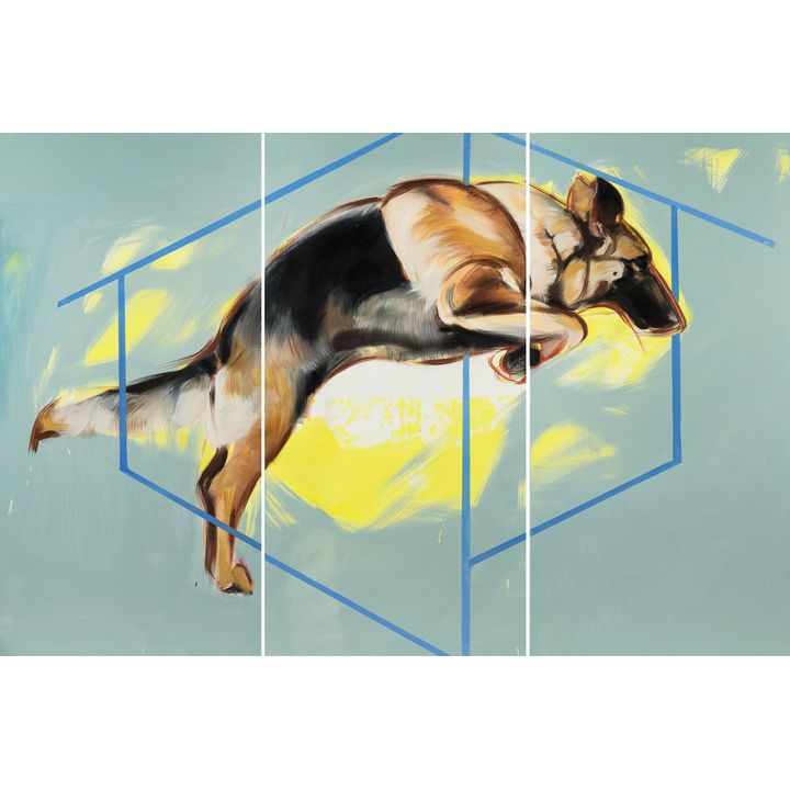 Judyta Krawczyk-Domańska  | W tym domu jest pies, 2014