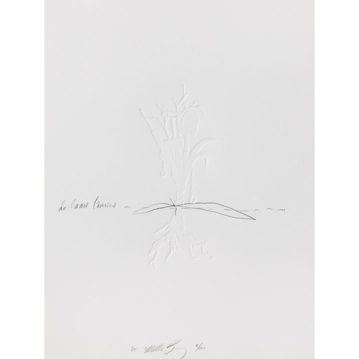 Matthew Barney De lama lâmina 2004