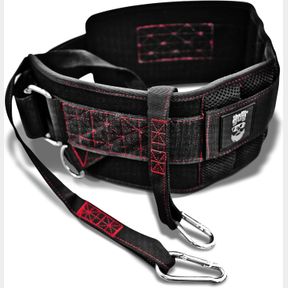 ONE SIZE FITS MOST THEFITGUY ULTIMATE DIP BELT | SECURE CLOSURE - NO SLIDING DOWN | STRUCTURED BACK SUPPORT | 45-ANGLE RINGS - COM