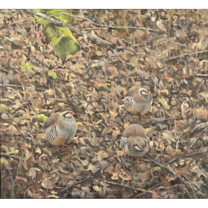 Ron Kingswood (1959-), Partridge