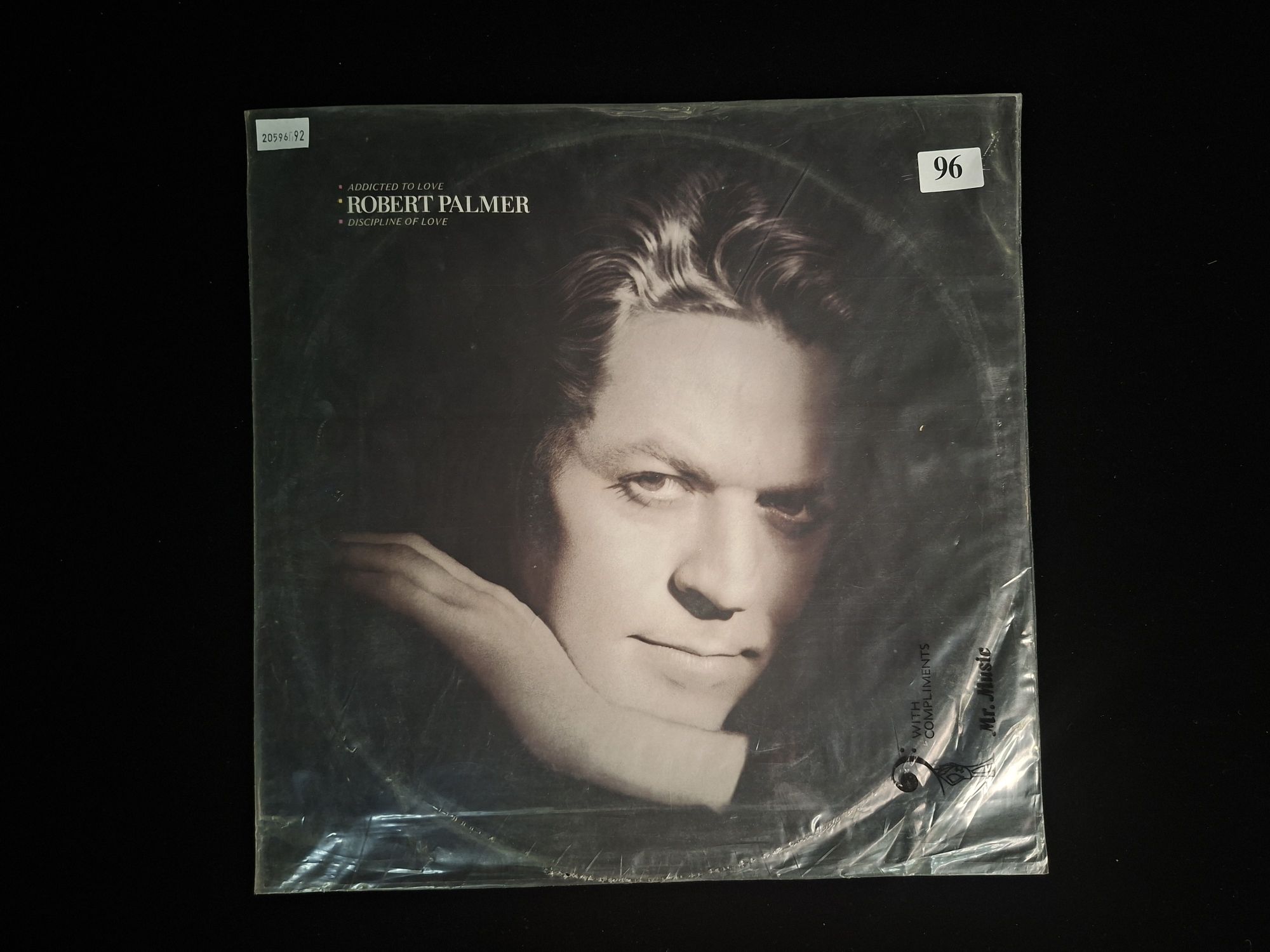 Robert Palmer