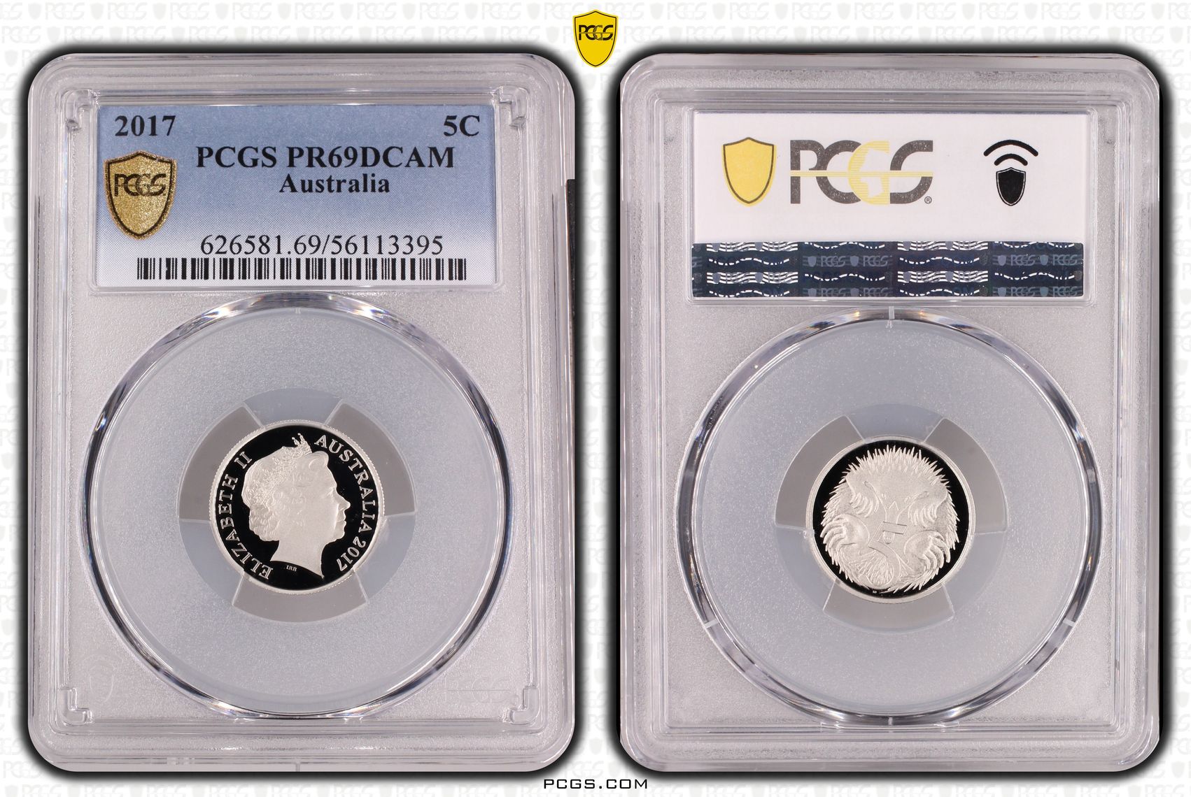 Five Cent, 2017, PR69DCAM