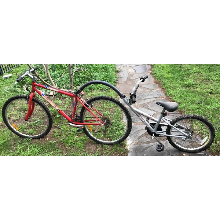 Diamond Back Bike with Tandem