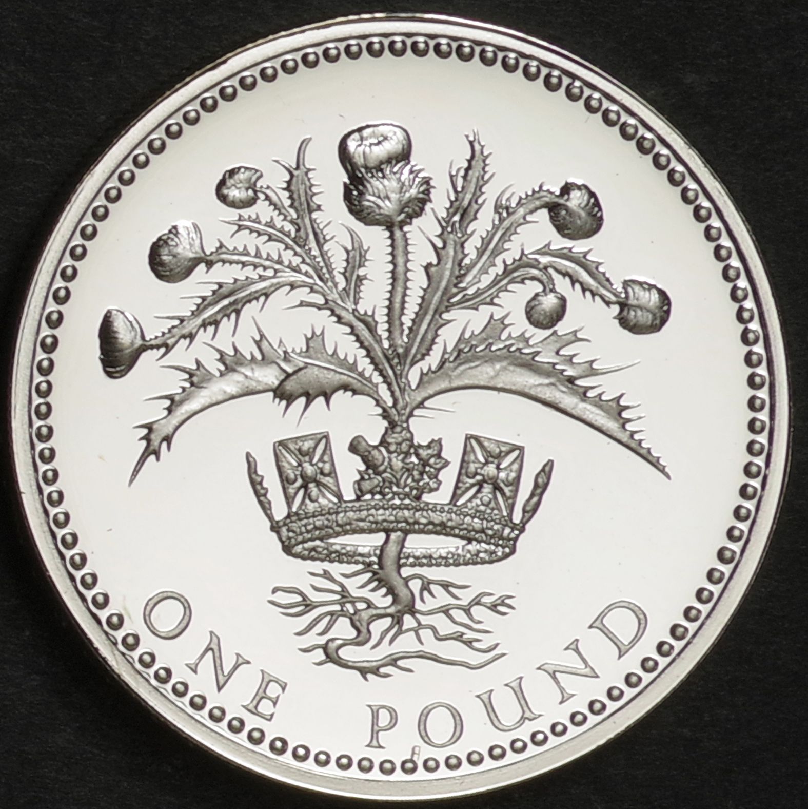 イギリス 1984年 1ポンド スコットランド・アザミ プルーフ銀貨 イギリス 1984 1ポンド銀貨 エリザベス2世／スコットランドのアザミ