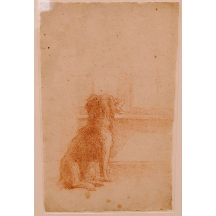 European 17th Century Dog Conte Crayon Drawing Framed- 23x17''