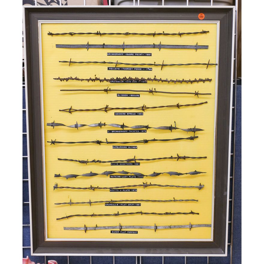 Barbed Wire Framed Display- 31x25''