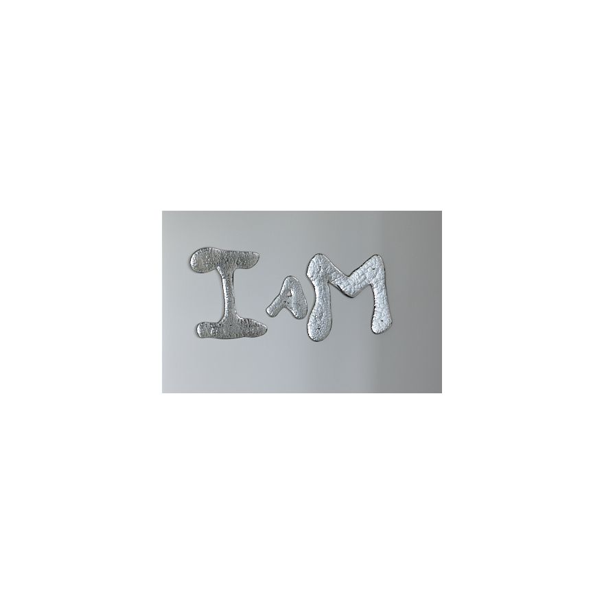 Rob Wynne 'I Am'